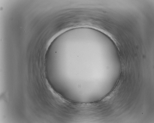 X0000072511534200608041454