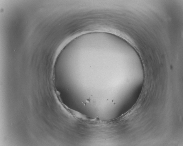 X0000072511536200608041454