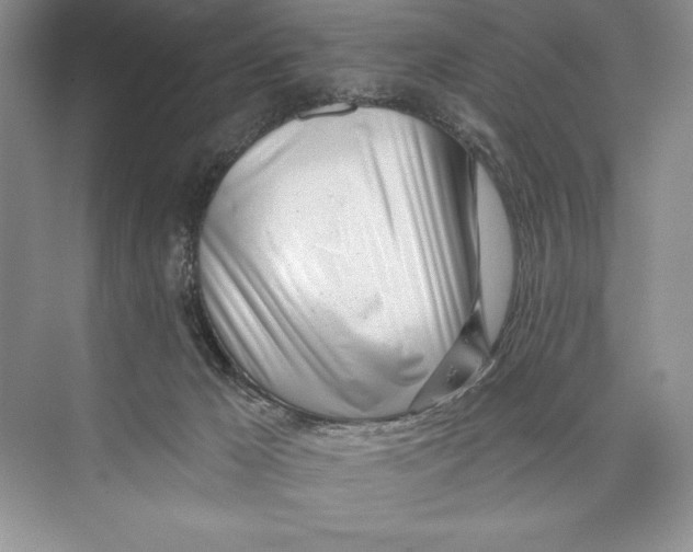 X0000072510029200608111706