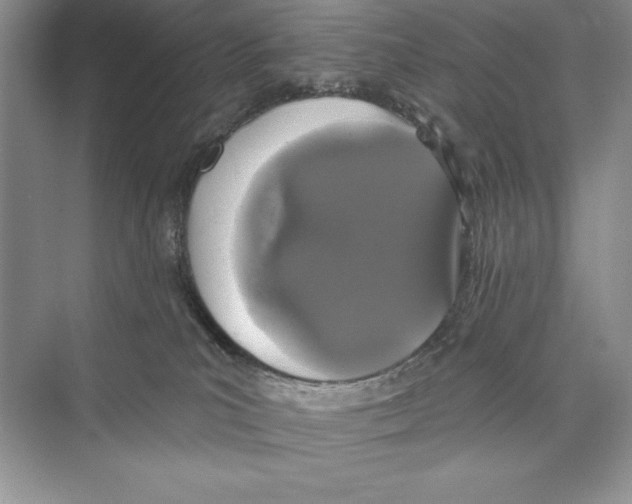 X0000072510039200608111705