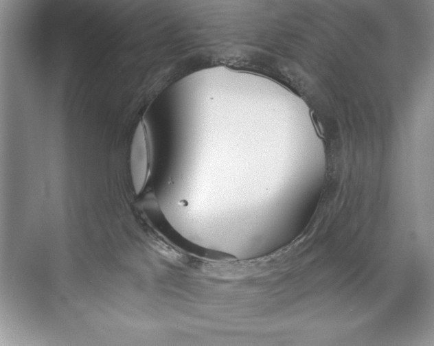 X0000072510041200608111705