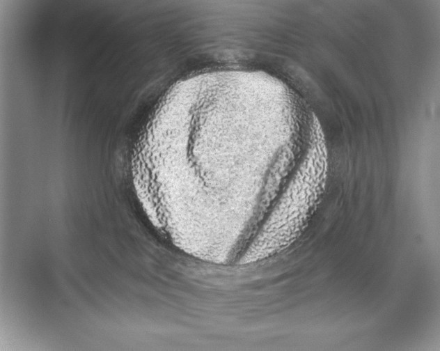 X0000072510043200608111705