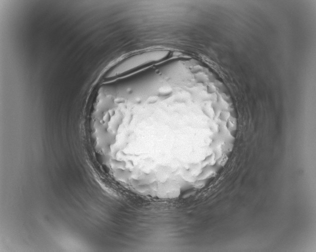X0000072510050200608111704