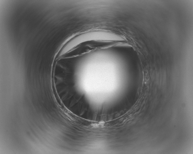 X0000072510052200608111705