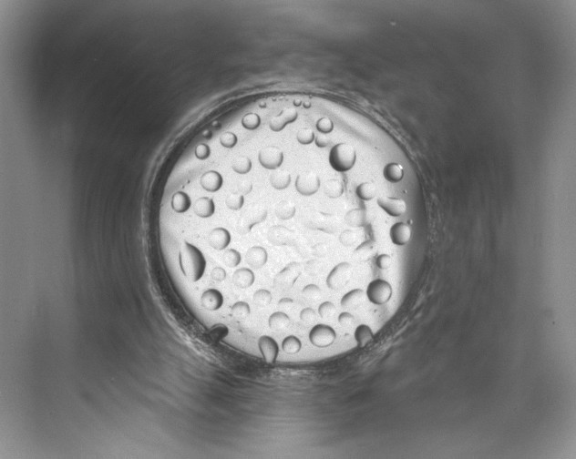 X0000072510055200608111705