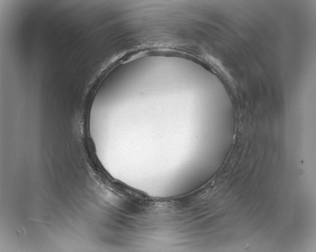 X0000072510060200608111705