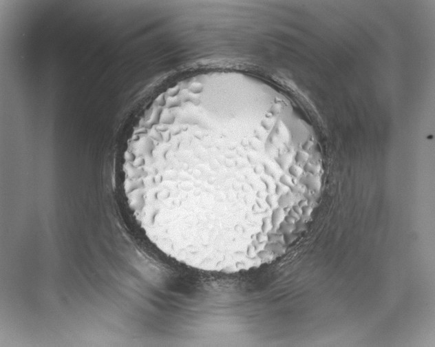 X0000072510062200608111705