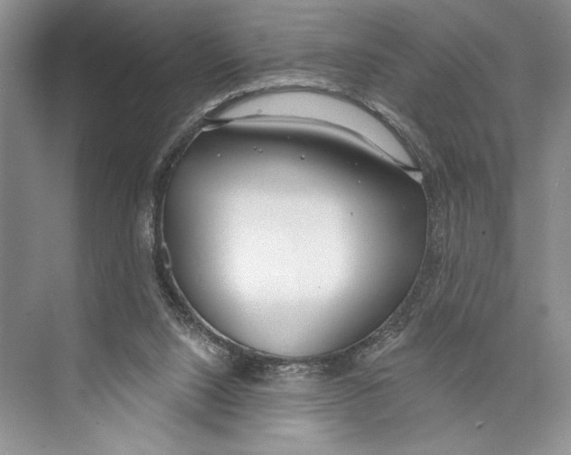X0000072510064200608111705