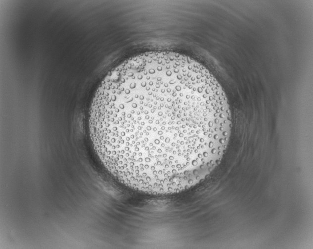 X0000072510071200608111705