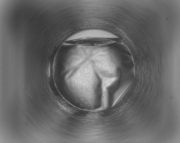 X0000072510076200608111705