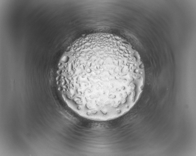 X0000072510077200608111705