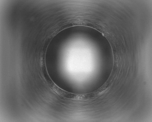 X0000072510080200608111705