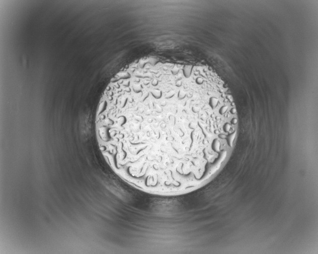 X0000072510081200608111705
