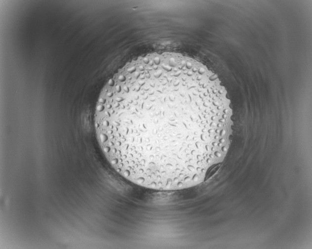 X0000072510090200608111705