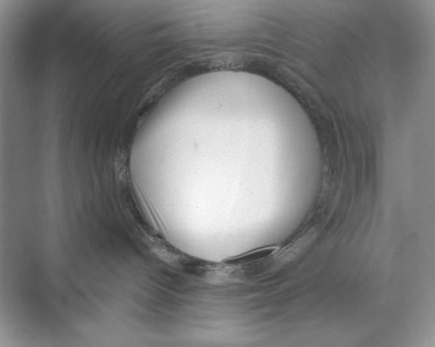 X0000072510096200608111705