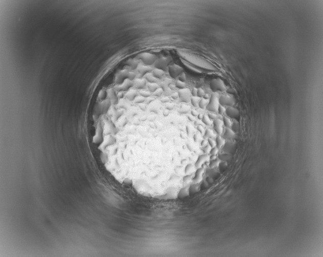 X0000072510099200608111704