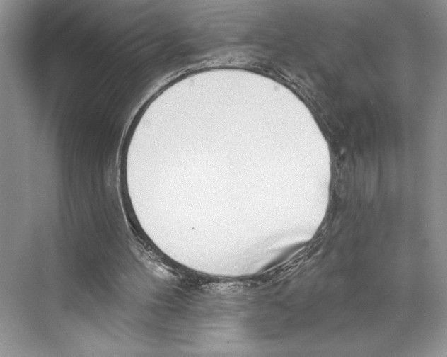 X0000072510100200608111704
