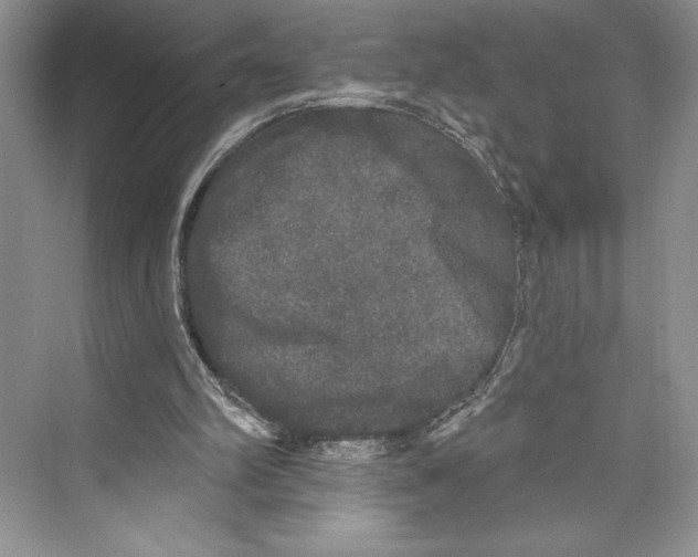 X0000072510102200608111704