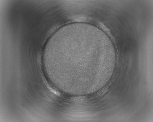 X0000072510106200608111704