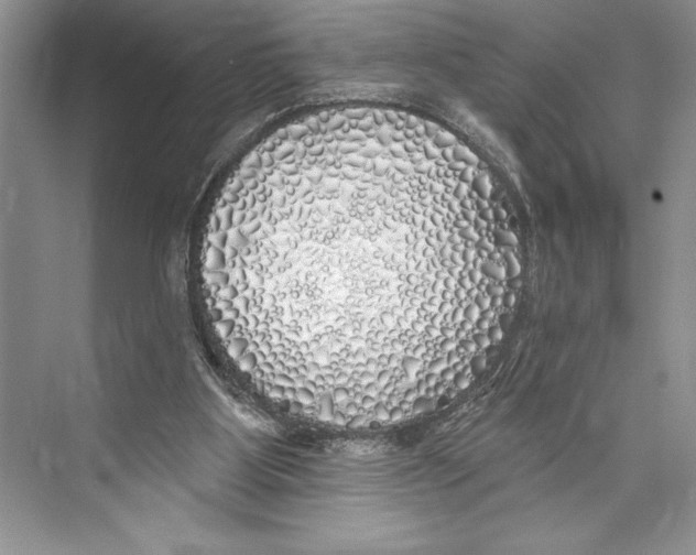 X0000072510107200608111704