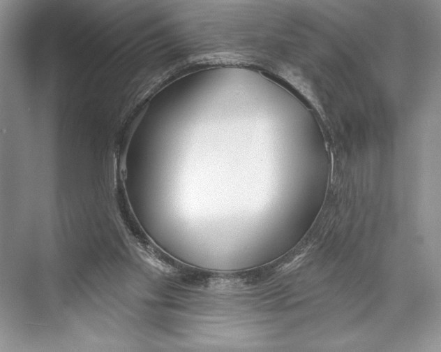 X0000072510109200608111704