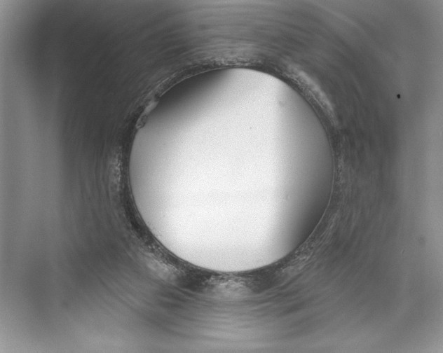 X0000072510113200608111704