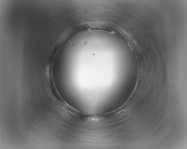 X0000072510117200608111704