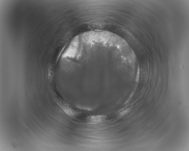 X0000072510134200608111704
