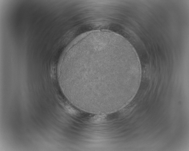 X0000072510138200608111704