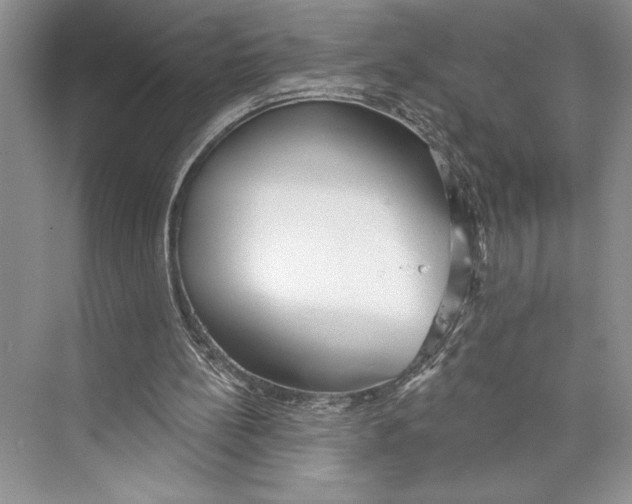 X0000072510148200608111703