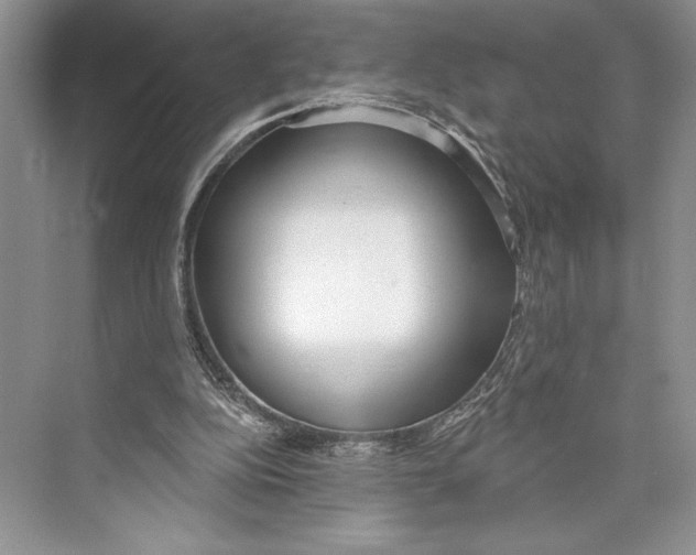 X0000072510152200608111703