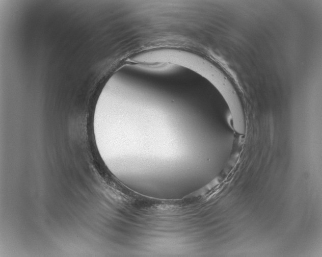 X0000072510154200608111703