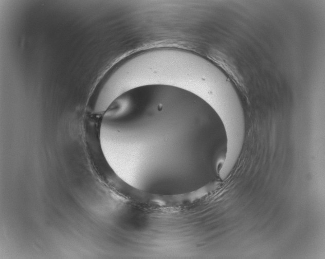 X0000072510156200608111703