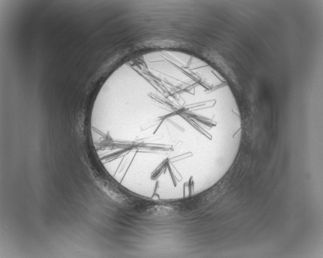 X0000072510159200608111703