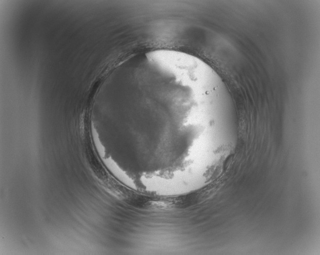 X0000072510167200608111703