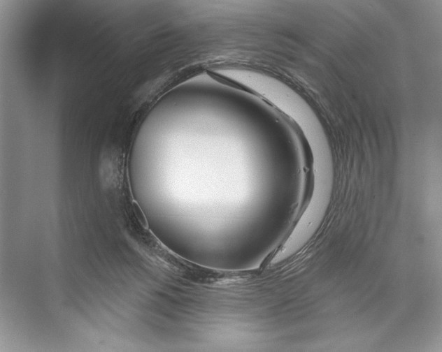 X0000072510168200608111703