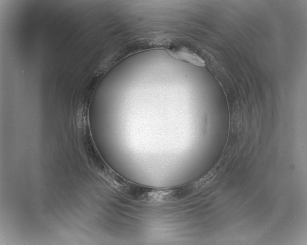 X0000072510172200608111703