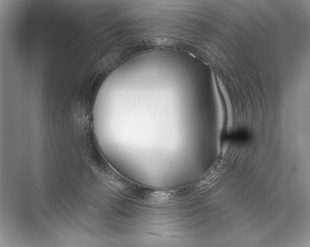 X0000072510176200608111703