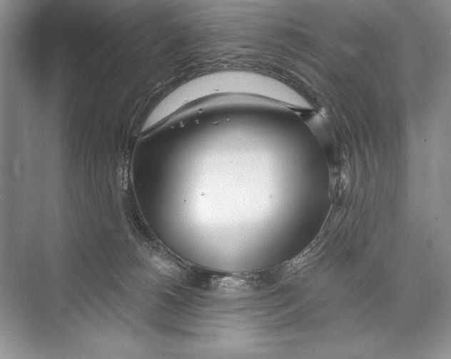 X0000072510180200608111703