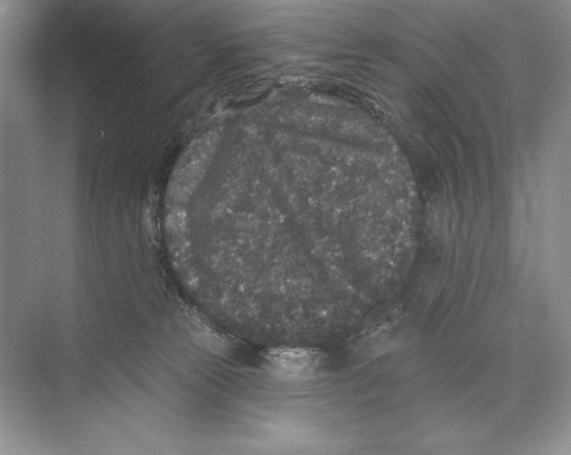 X0000072510181200608111703