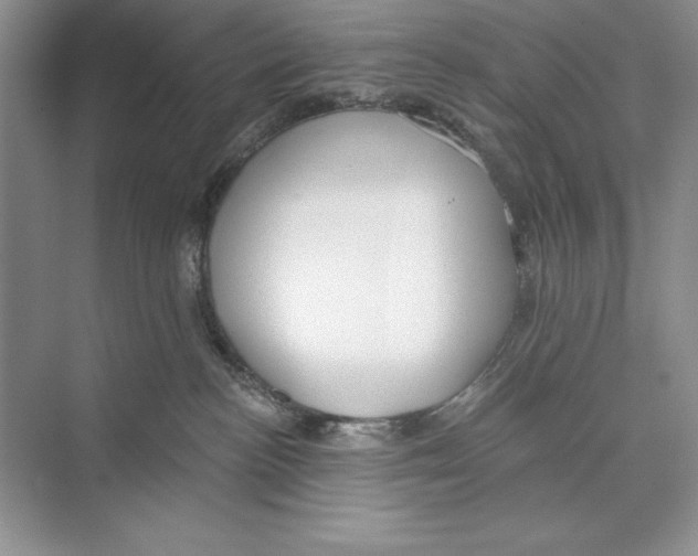 X0000072510188200608111704