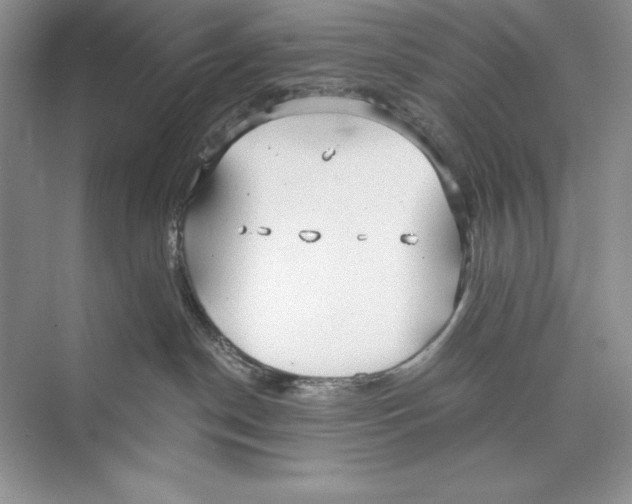 X0000072510190200608111704