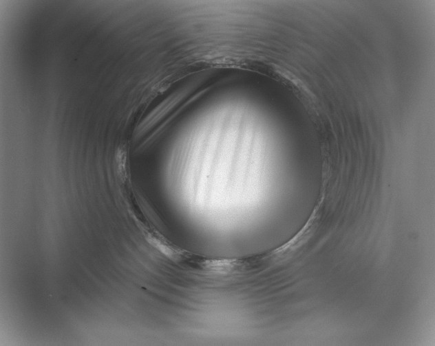 X0000072510192200608111704