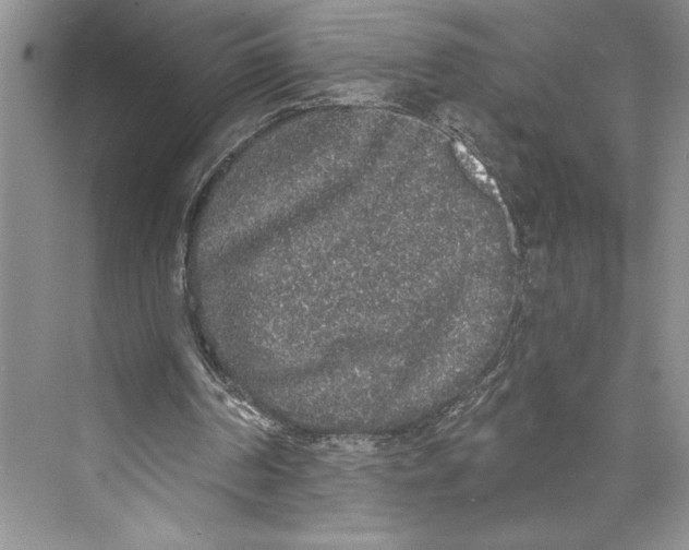 X0000072510194200608111703