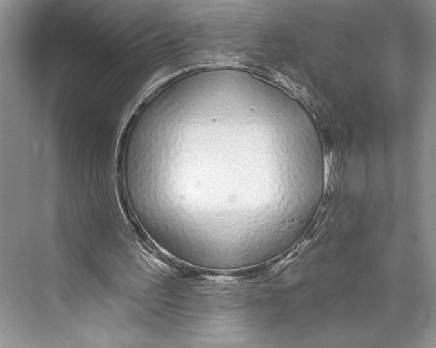 X0000072510195200608111703