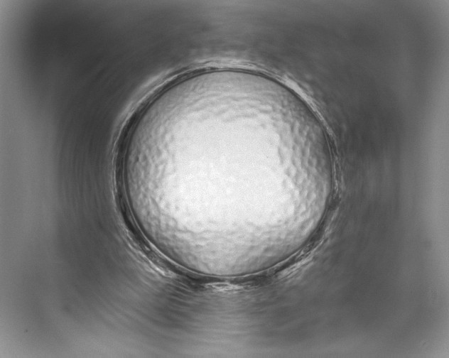 X0000072510199200608111703