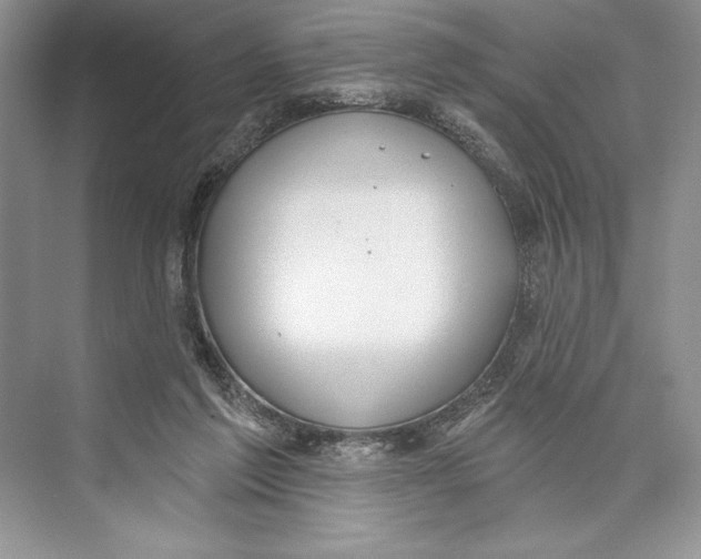 X0000072510213200608111702