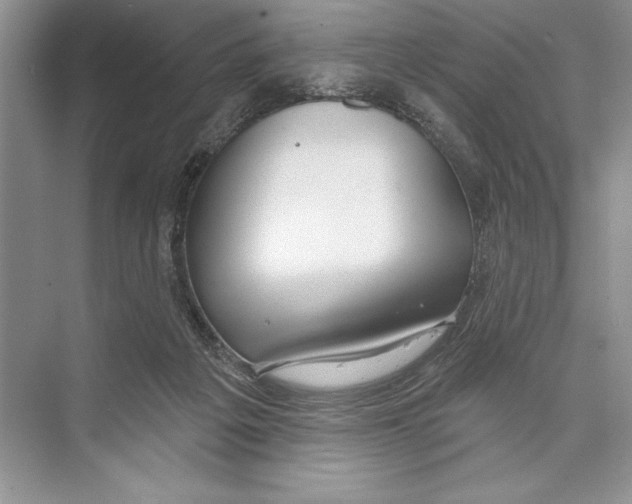 X0000072510217200608111702