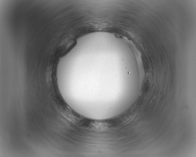 X0000072510221200608111702