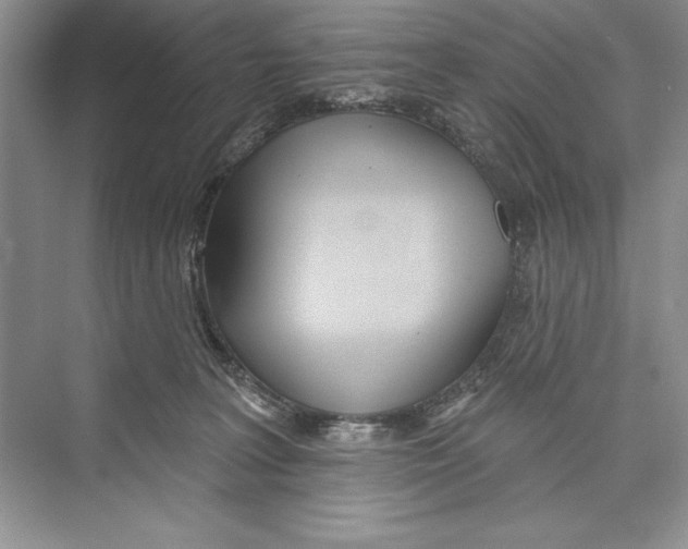 X0000072510227200608111702